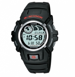 Casio G-SHOCK G-2900f-1VER